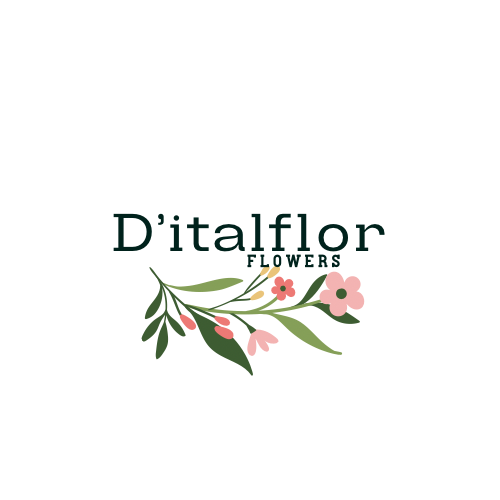 D'italflor
